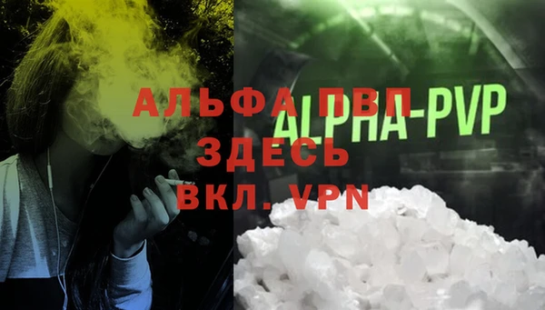индика Краснослободск