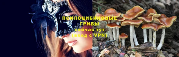 соль ск Аркадак