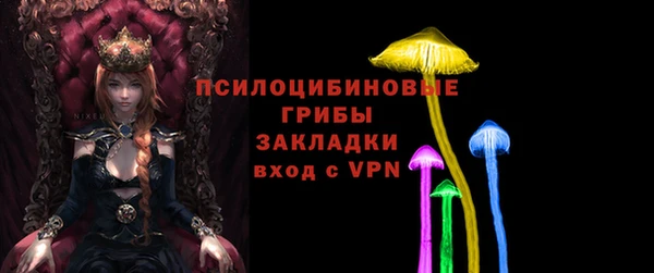 PSILOCYBIN Армянск