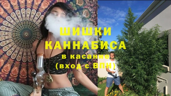 PSILOCYBIN Армянск