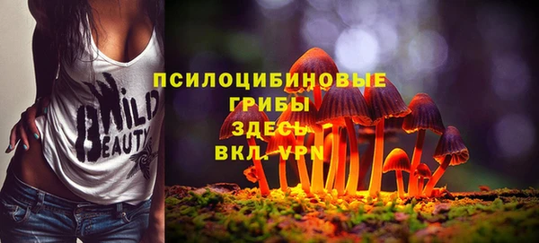 соль ск Аркадак