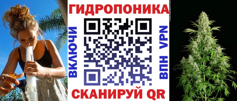 ссылка на мегу ONION  что такое наркотик  Междуреченск  Бошки Шишки конопля 